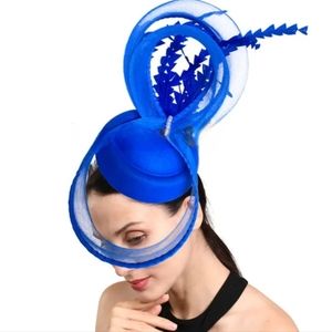 Fascinating Uniquely Fabulous Birdcage Sky Loop Pillbox Fascinator Derby…
